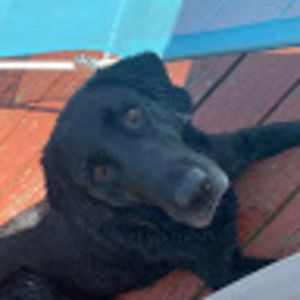 Meet your Posher, Madeline